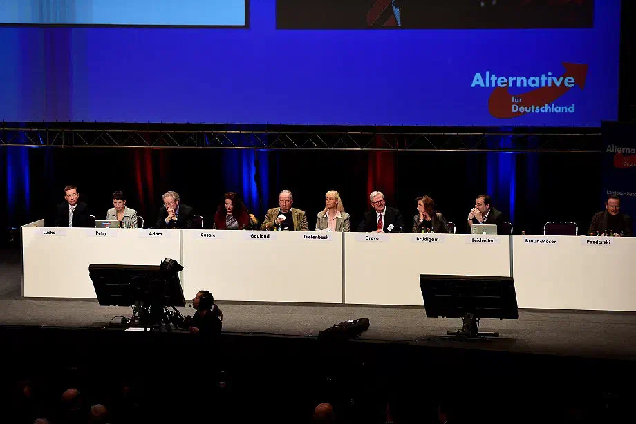 Die neue Satzung gibt der Parteiführung größeren Handlungsspielraum und gilt als antidemokratischer Eingriff in die bisherigen Parteistrukturen.