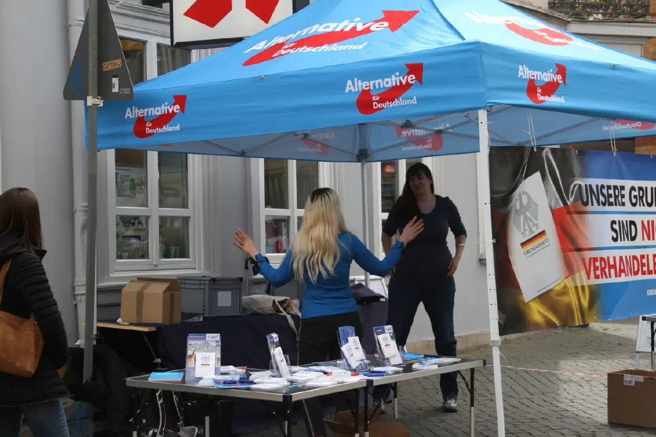 In Braunschweig hatte der örtliche Kreisverband einen Infostand in der Fußgängerzone aufgebaut. Hinten im Bild ist Anneke vom Hofe zu sehen.