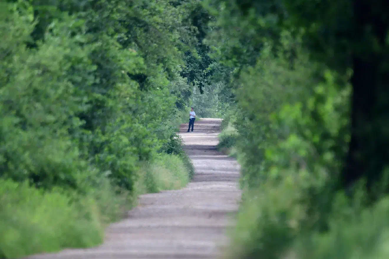 Während der NPD-Demonstration versammelten sich Neonazis im nahegelegenen NPD-Zentrum... um im eErlauf de Abends eine Sommer-Sonnenwendfeier durchzuführen.