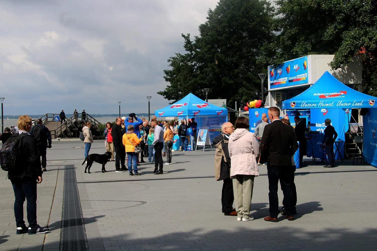 AfD-Kundgebung in Steinhude